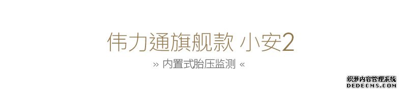 偉力通小安2無線胎壓監(jiān)測(cè)